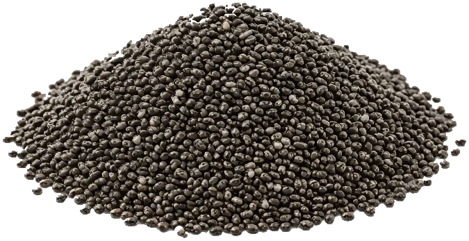 Chia Seeds