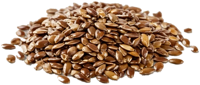 Flax Seeds